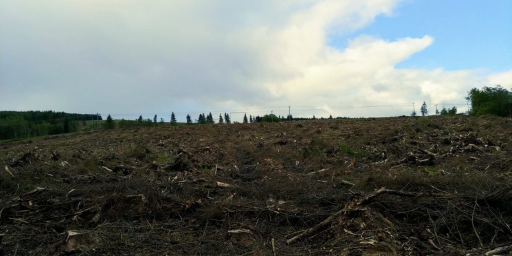 Deforestation from the path by Glennan Burn