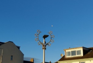 A seagull soaring above a festive illumination in early December