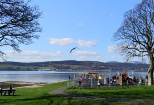 A seagull swooping between trees at Kidston Park