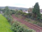 The devastation caused by Network Rail's tree-felling activities