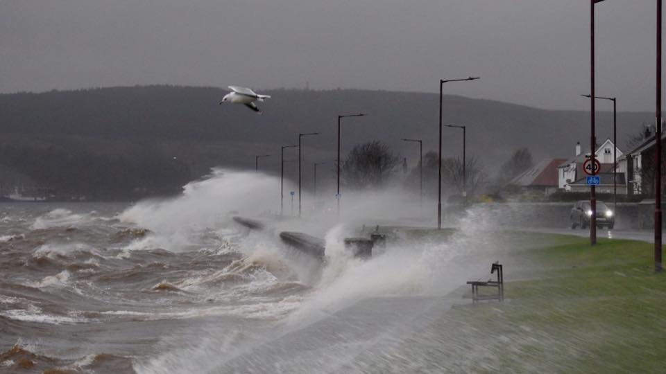 Jim Chestnut photo of a seagull battling the stormy weather