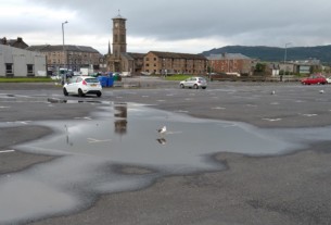 A seagull standing in solitude in a puddle in the pier car park, Helensburgh