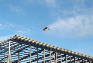 A seagull gliding above the structure of Helensburgh's new leisure centre