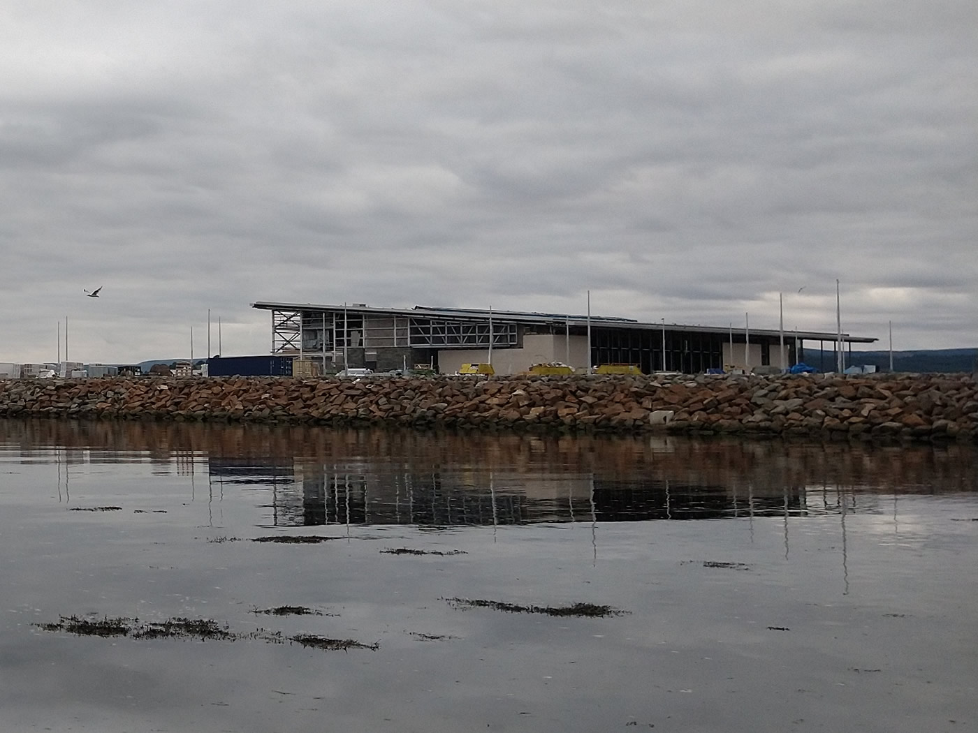 A seagull soaring above a calm river Clyde and the reflection of the new leisure centre.