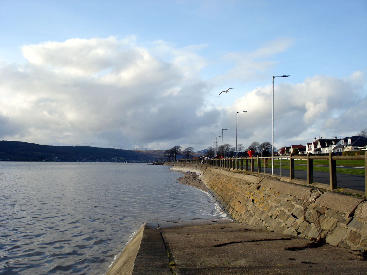 A seagull soaring above the slipway beside the river Clyde toward the west of Helensburgh