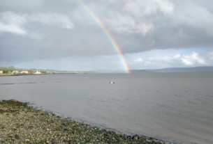 A seagull gliding along the shoreline of the river Clyde with a rainbow in the background