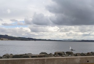 A seagull sits on the sea wall at Helensburgh Leisure Centre car park with the east bay and Ardmore Point in the background.