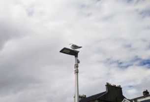 A seagull sitting atop a lamp post with a cloudy sky behind him.