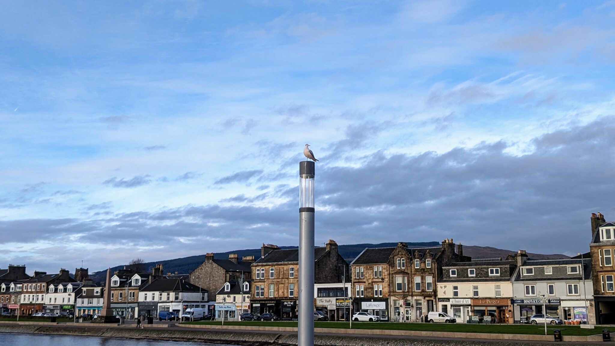 A seagull perched on top of a lamppost with Helensburgh riverside buildings in the background