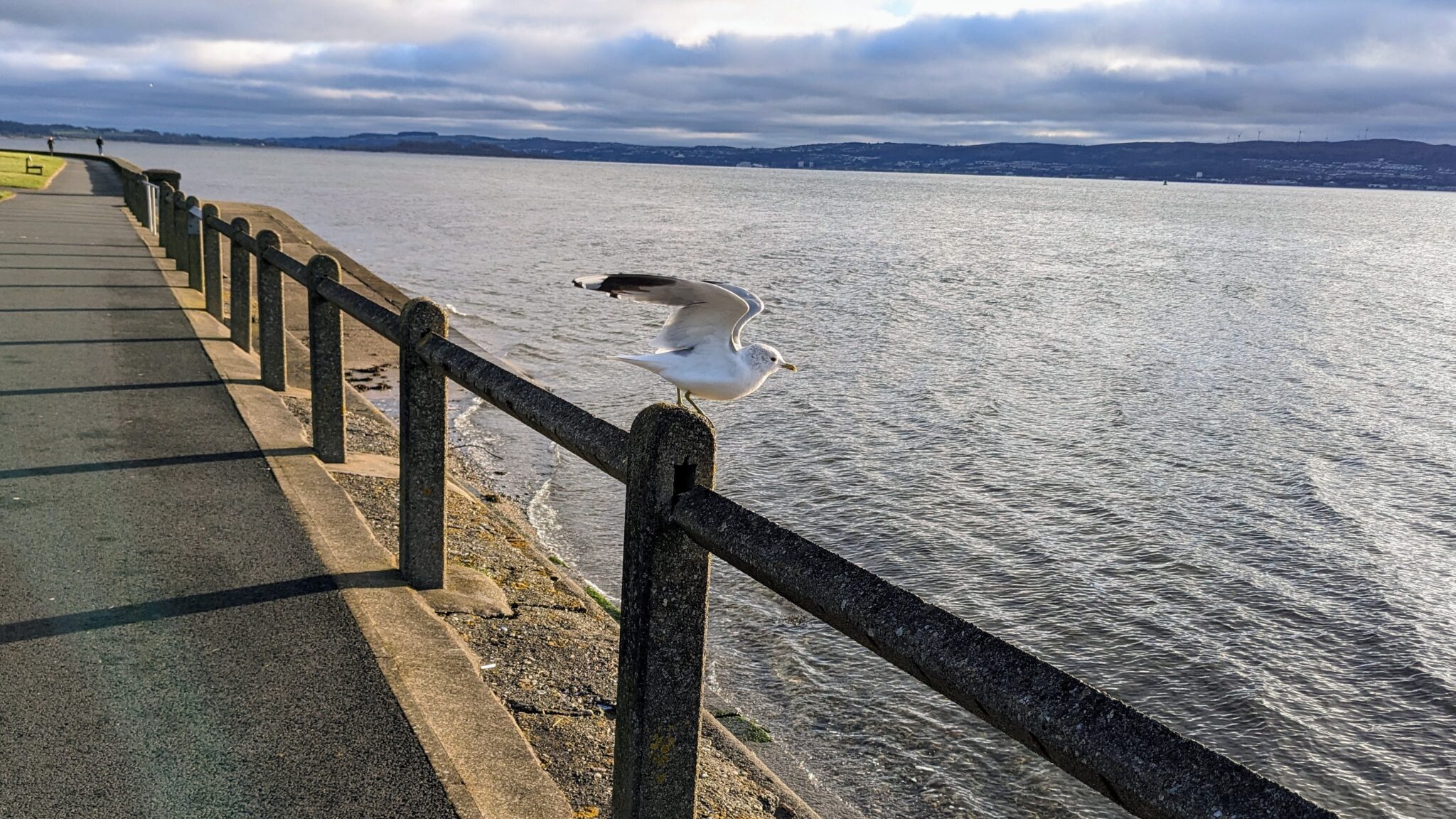 A seagull taking flight from a concrete railing in January 2024. In the background is the River clyde and an overcast sky.