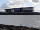 A lone seagull standing on the beach by the river Clyde in Helensburgh's west bay with the pier and leisure centre in the background.