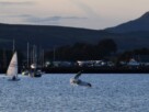 A seagull with its wings spread as it comes into land in the waters beside Kidston Park, in Helensburgh.