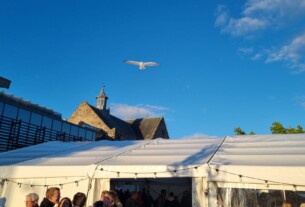 A seagull soaring over the marquee at Helensburgh Civic Centre during the ale festival